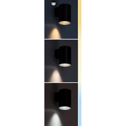 Rabalux - LED spoljno zidno svetlo LED/9W/230V 2700/4000/6500K IP65 crno