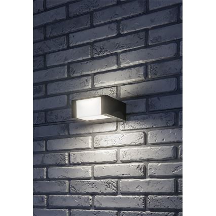 Rabalux - LED spoljna zidna svetiljka LED/10W/230V IP54