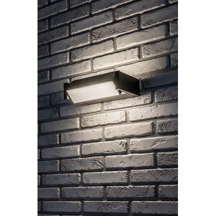Rabalux - LED spoljno zidno svetlo LED/18W/230V IP54
