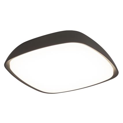 Rabalux - LED spoljašnje plafonsko svetlo LED/20W/230V IP65