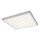 Rabalux - LED nadgradni panel LED/40W/230V 4000K 60x60 cm