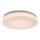 Rabalux - LED plafonsko svetlo za kupatilo LED/12W/230V 3000/4000/6000K IP44