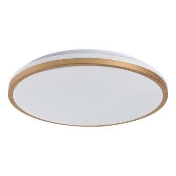 Rabalux - LED plafonsko svetlo za kupatilo LED/18W/230V IP44 prečnik 34 cm