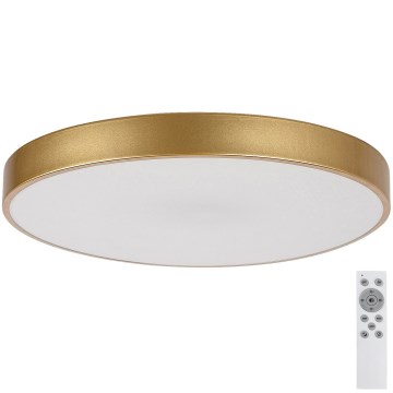 Rabalux - LED prigušiva stropna svetiljka LED/60W/230V 3000-6000K + daljinski upravljač