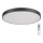 Rabalux - LED prigušiva stropna svetiljka LED/60W/230V 60 cm + daljinski upravljač