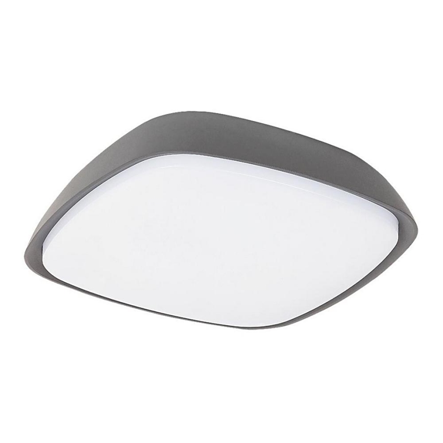 Rabalux - LED spoljašnje plafonsko svetlo LED/20W/230V IP65