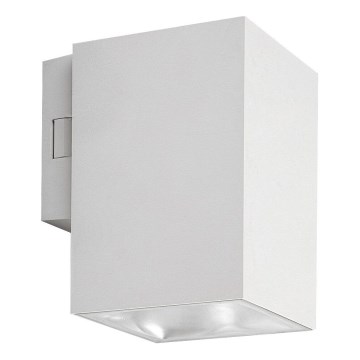 Rabalux - LED spoljašnje zidno svetlo, 9W, 230V, 2700/4000/6500K (izbor temperature svetla), IP65, belo