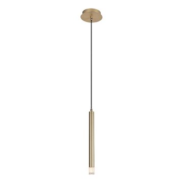 Rabalux - Luster na sajli 1xG9/5W/230V zlatna