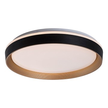 Rabalux - prigušiva LED plafonska svetiljka 48W/230V 3000-6500K prečnik 50 cm + daljinski upravljač