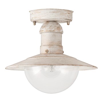 Rabalux - Spoljašnja plafonska lampa 1xE27/60W IP44