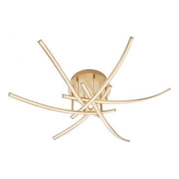 Redo 01-2187 - LED plafonsko svetlo SPATHA 6xLED/6W/230V 3000K zlatno