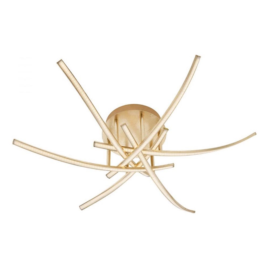 Redo 01-2187 - LED plafonsko svetlo SPATHA 6xLED/6W/230V 3000K zlatno