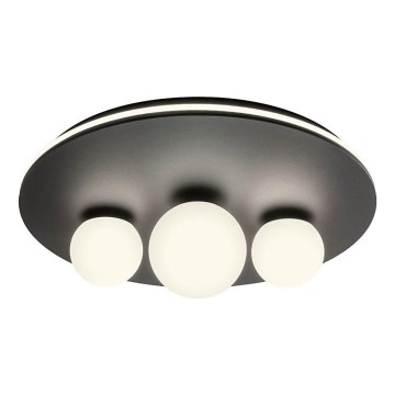Redo 01-2466 - LED plafonsko svetlo CORUM LED/48W/230V 3000K prečnik 49 cm CRI 90 crna