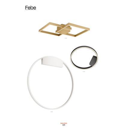 Redo 01-2817 - LED prigušiva zidna lampa FEBE LED/24W/230V zlatna