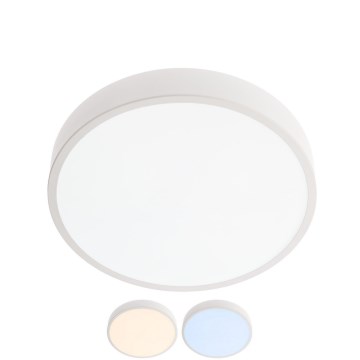 Redo 05-928 - LED plafonjera KNOB LED/24W/230V 3000K-6500K 30 cm bela