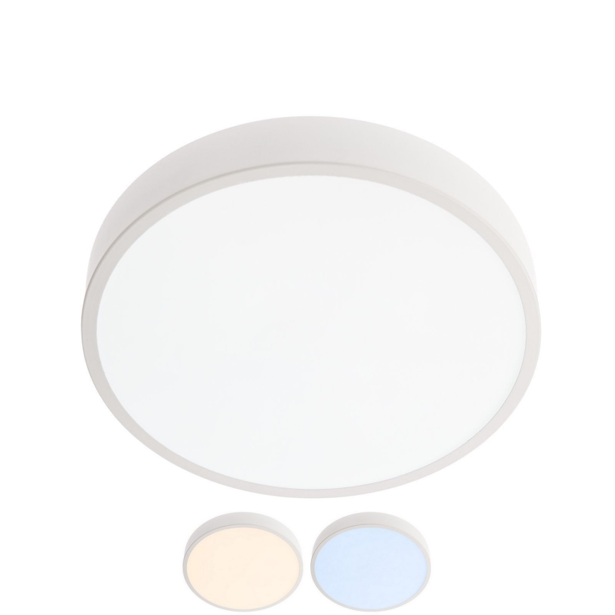 Redo 05-928 - LED plafonsko svetlo KNOB LED/24W/230V 3000K-6500K 30 cm belo