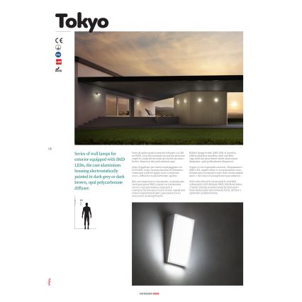 Redo 90015 - LED spoljašnja zidna svetiljka TOKYO LED/12W/230V IP54
