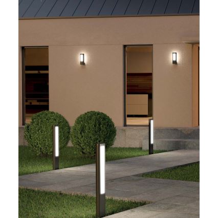 Redo 90125 - LED spoljna lampa DOLMEN LED/12,44W/230V 80 cm IP54 antracit