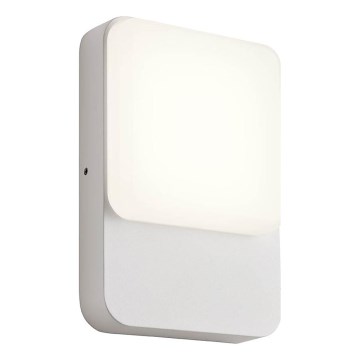 Redo 90128 - LED spoljašnje zidno svetlo COLIN LED/9W/230V 4000K IP54 belo