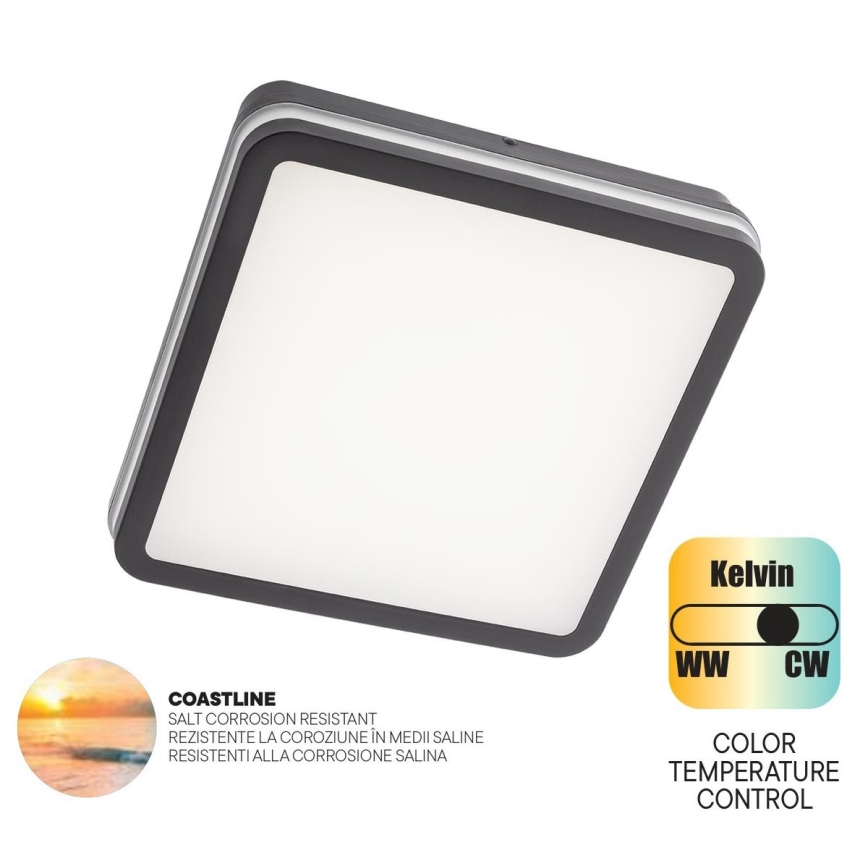 Redo 90288 - LED spoljašnje plafonsko svetlo ISOLA LED/24W/230V 26x26 cm 3000/4000/6500K IP54 antracit