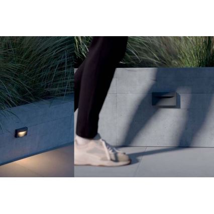 Redo 90426 - LED spoljašnje zidno svetlo POLIFEMO LED/8W/230V IP65 antracit