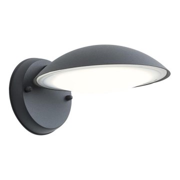 Redo 9617 - LED spoljašnja zidna lampa CAPP LED/12W/230V IP54 antracit