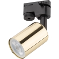 Reflektor za šinski sistem TOP 1xGU10/10W/230V zlatna/crna