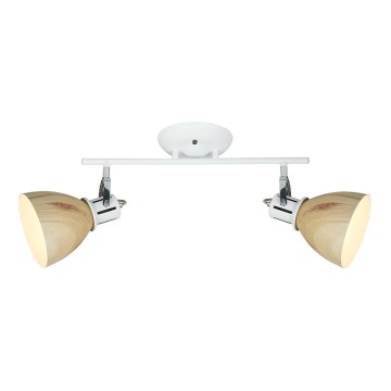 Reflektorska lampa KRATER 2xE27/15W/230V