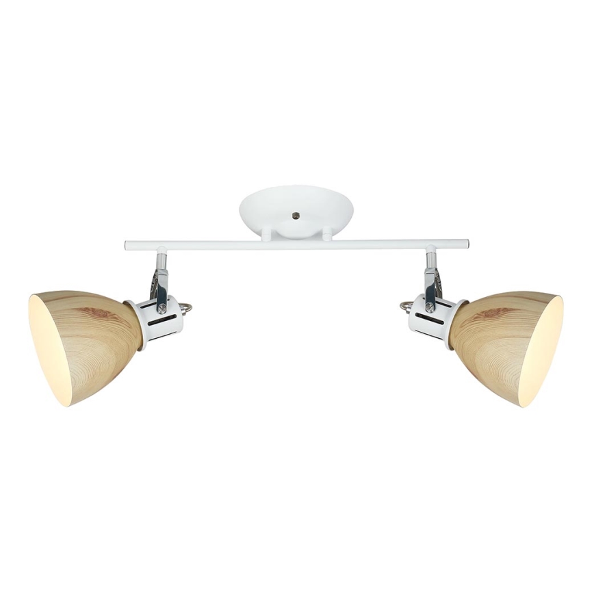 Reflektorska lampa KRATER 2xE27/15W/230V