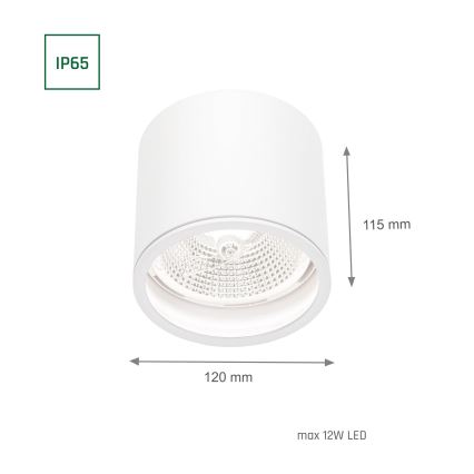 Reflektorska lampa za kupatilo CHLOE AR111 1xGU10/12W/230V IP65 oble bela
