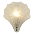Searchlight - Zidna svetiljka SHELL 1xG9/7W/230V bela