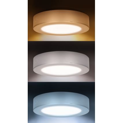 LED nadgradni/ugradni panel 2u1 LED/12W/230V 3000/4000/6000K prečnik 17 cm IP54 srebrni