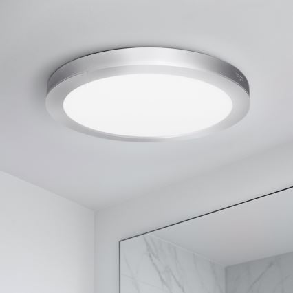 LED panel za nadgradnu/ugradnu montažu 2u1 24W/230V 3000/4000/6000K prečnika 30 cm IP54 srebrni