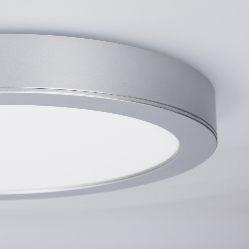 LED panel za nadgradnu/ugradnu montažu 2u1 24W/230V 3000/4000/6000K prečnika 30 cm IP54 srebrni