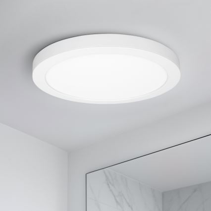 LED površinski/ugrađeni panel 2 u 1 24W/230V 3000/4000/6000K prečnik 30 cm IP54 bela