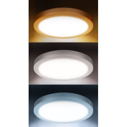 LED površinski/ugrađeni panel 2 u 1 24W/230V 3000/4000/6000K prečnik 30 cm IP54 bela