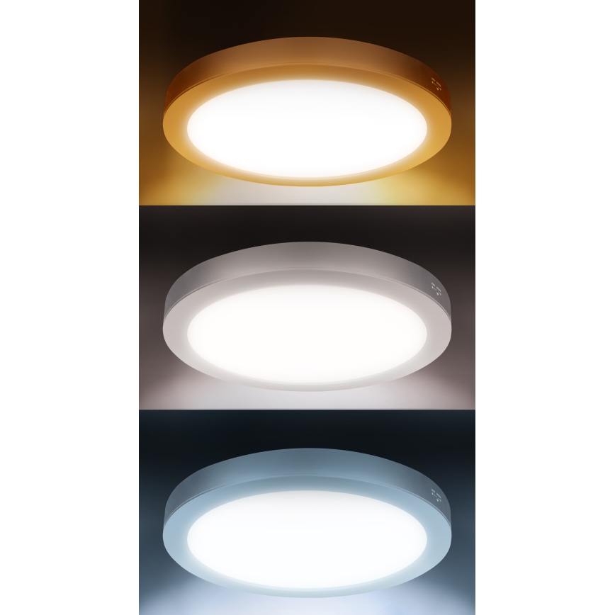 LED površinski/ugrađeni panel 2 u 1 24W/230V 3000/4000/6000K prečnik 30 cm IP54 bela