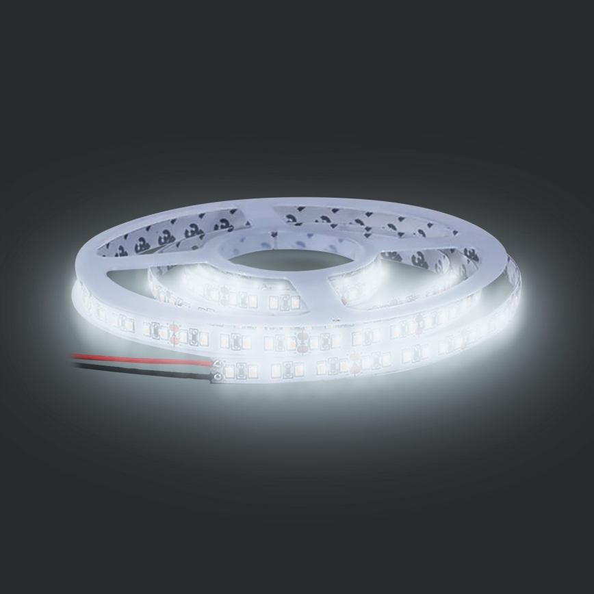 LED traka LED/50W/12V 5m hladna bela