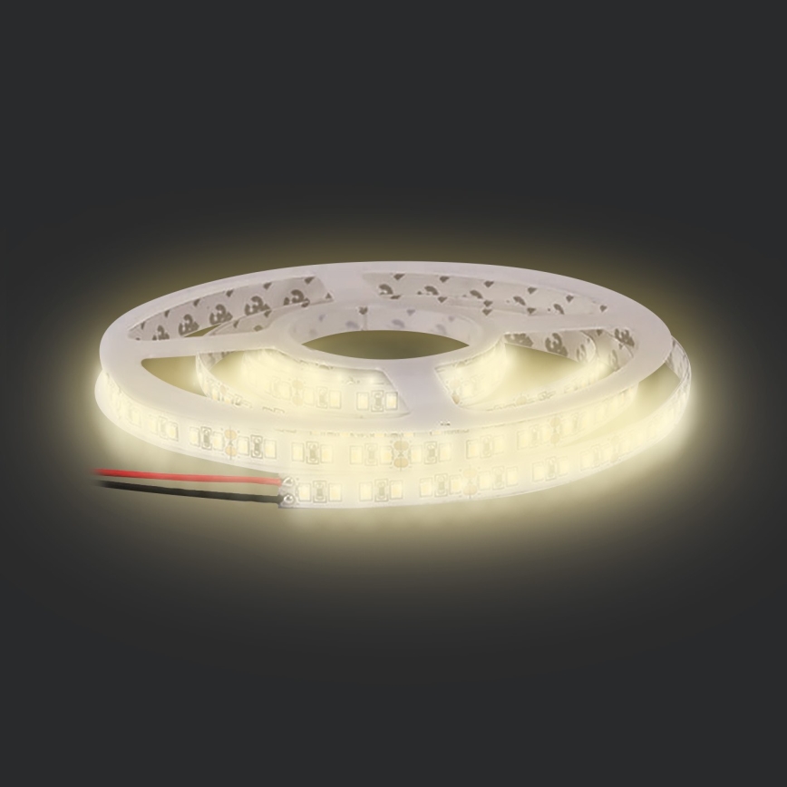 LED traka LED/50W/12V 5m topla bela