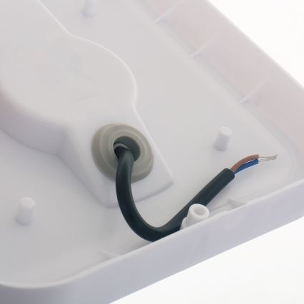 LED spoljašnje zidno svetlo LED/20W/230V IP54