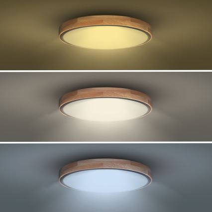 LED prigušiva stropna svetiljka IRON OAK LED/48W/230V 3000-6500K hrast prečnik 40 cm + daljinski upravljač