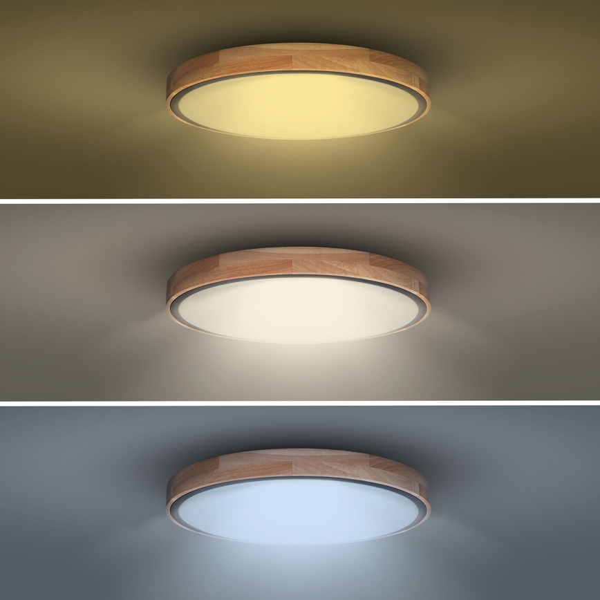 LED prigušiva stropna svetiljka IRON OAK LED/48W/230V 3000-6500K hrast prečnik 40 cm + daljinski upravljač