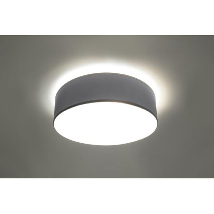 Plafonsko svetlo ARENA 2xE27/15W/230V sivo