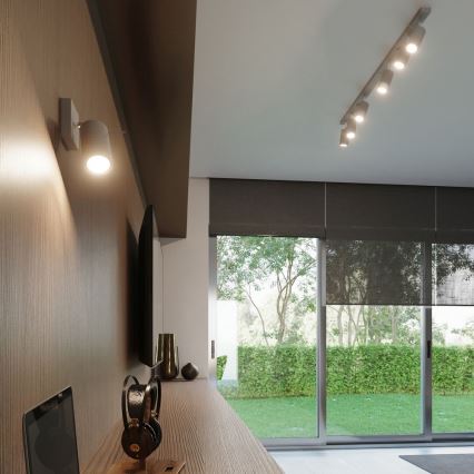 Stropni spot RING 2xGU10/10W/230V