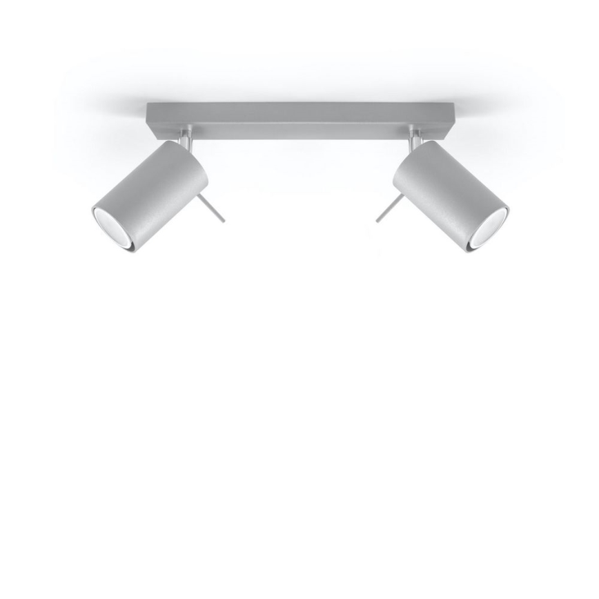 Stropni spot RING 2xGU10/10W/230V