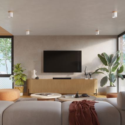 Stropna spot svetiljka RIF 1xGU10/10W/230V, prečnik 12 cm, bela