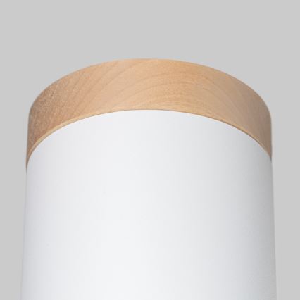 Stropna spot svetiljka RIF 1xGU10/10W/230V, prečnik 12 cm, bela