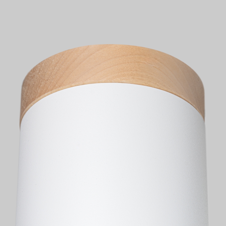 Stropna spot svetiljka RIF 1xGU10/10W/230V, prečnik 12 cm, bela