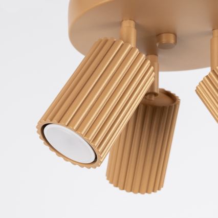 Stropna spot lampa KARBON 3xGU10/10W/230V zlatna