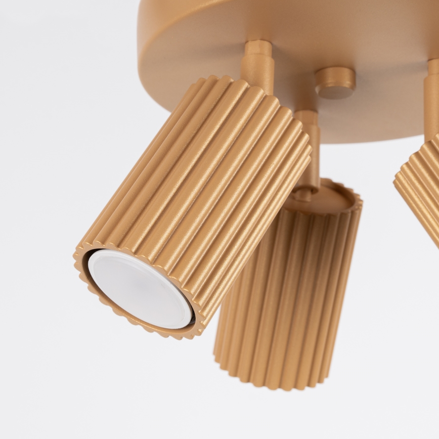 Stropna spot lampa KARBON 3xGU10/10W/230V zlatna